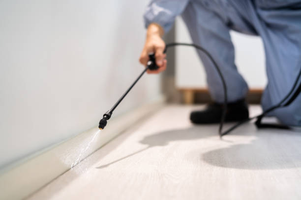 Bed Bug Pre-Treatment Preparation Assessment in Callaway