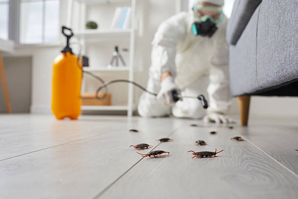 Post-Treatment Bed Bug Interceptor Monitoring in Callaway