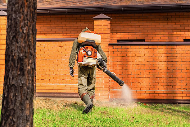 Bed Bug Clearance Verification and Documentation in Callaway